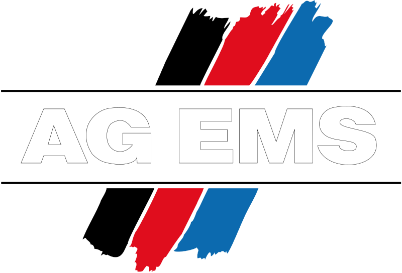 Logo AG EMS